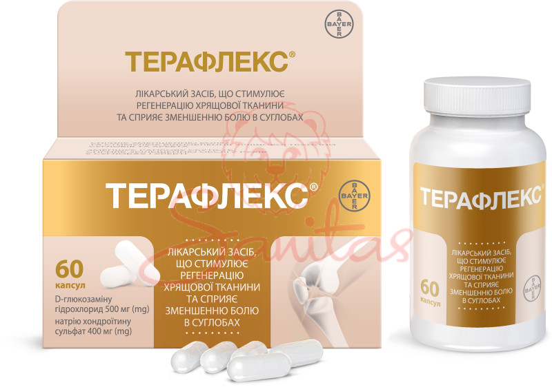 Терафлекс капс. №120                                                            