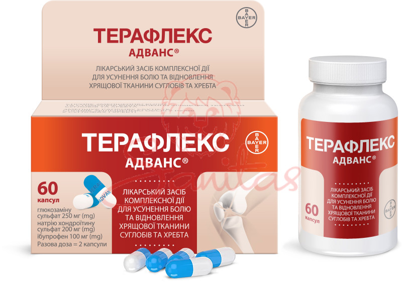 Терафлекс Адванс капс. №60                                                      