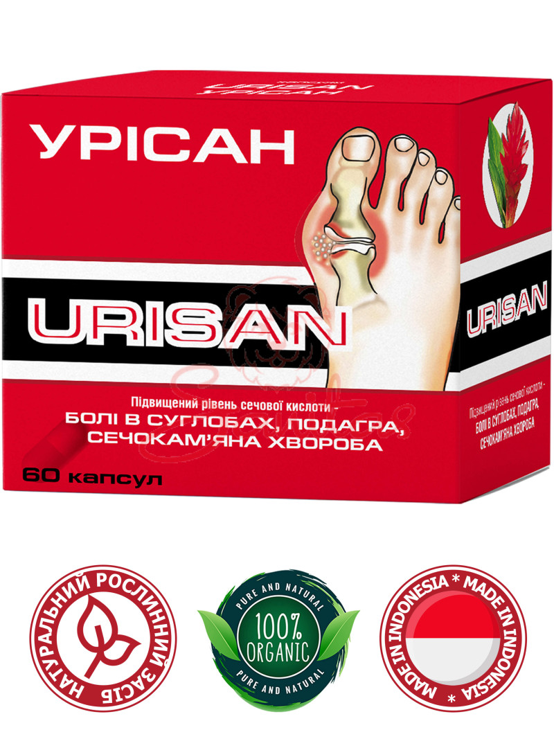 Урісан капс. 550мг №60                                                          